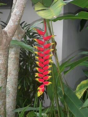 bali08