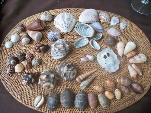 bali12