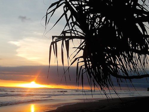 bali14