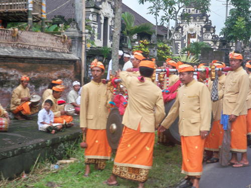 bali20