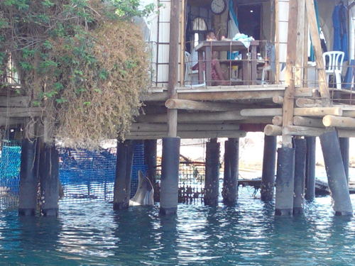 Israel12