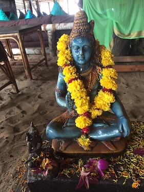 goa00008