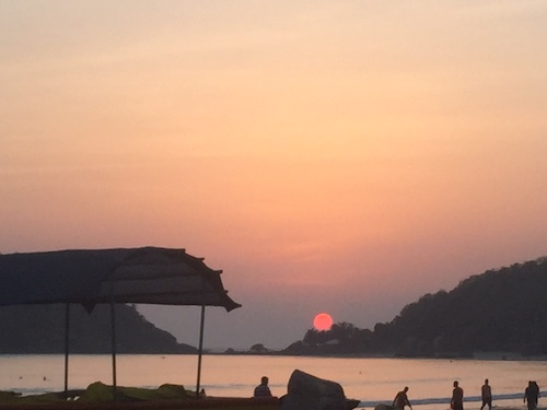 goa00030